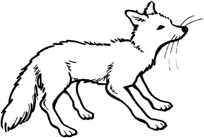 Image result for arctic fox clipart.