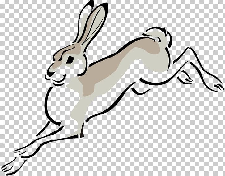 Arctic Hare European Hare Cottontail Rabbit PNG, Clipart.