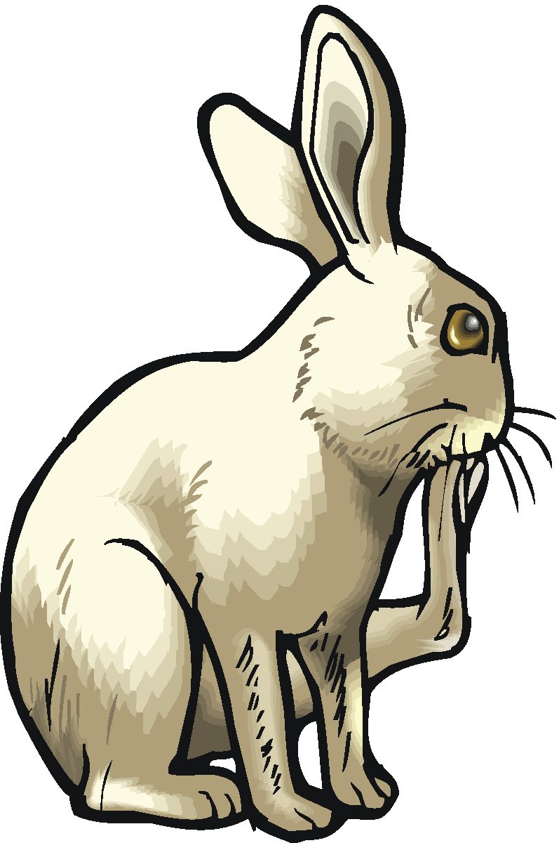 Arctic Rabbit Clipart.