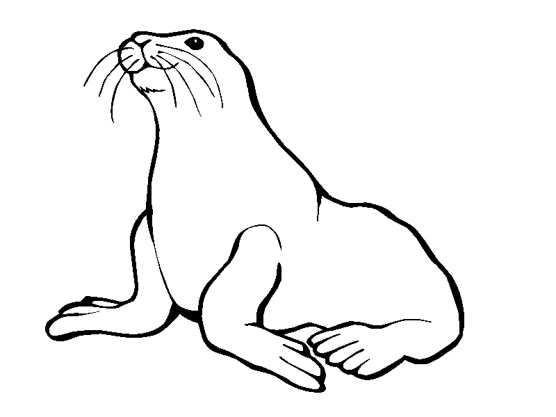 Free Seal Swimming Cliparts, Download Free Clip Art, Free.