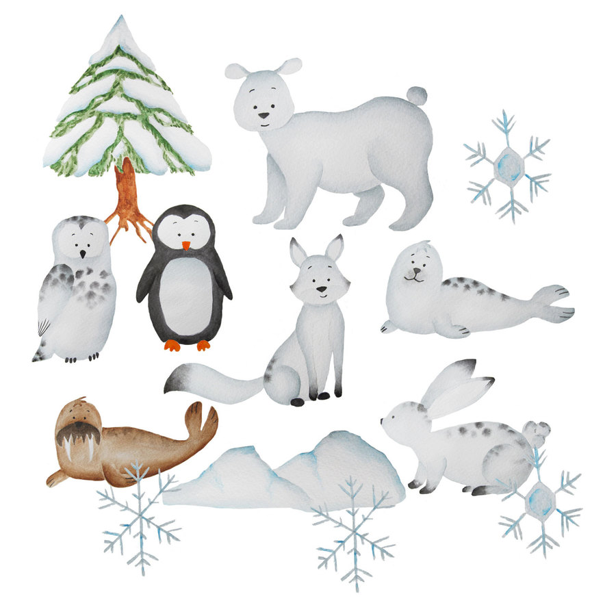 Download polar rabbit clipart Polar bear Arctic Clip art.
