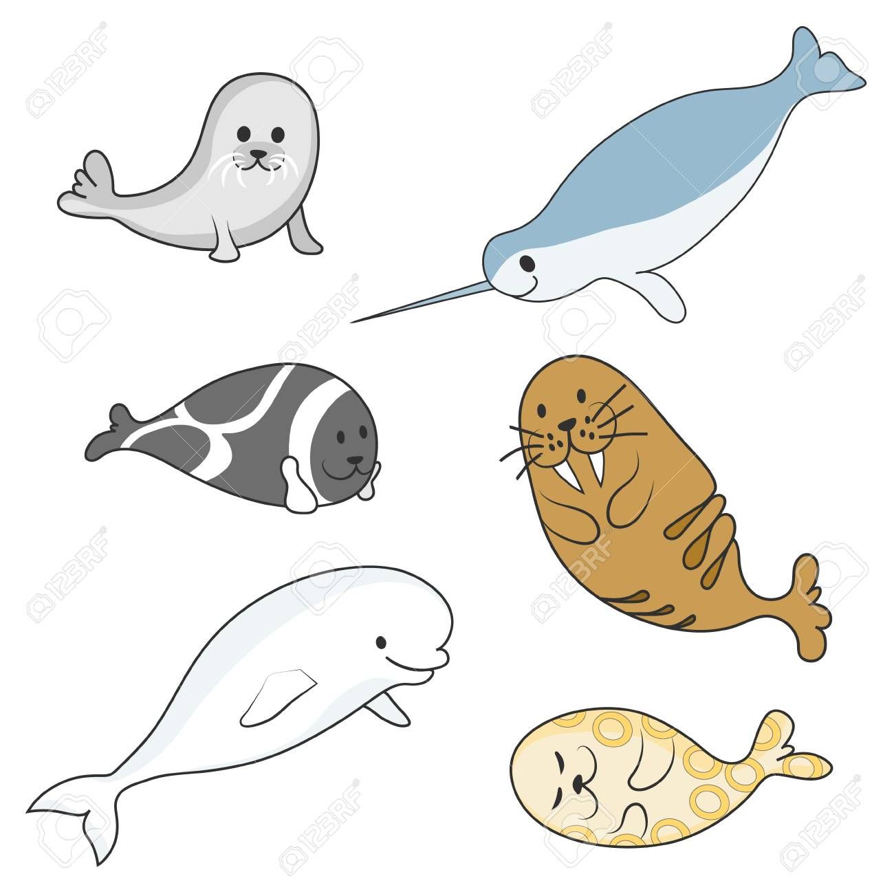Arctic marine mammals set (beluga whale, narwhal, ringed.