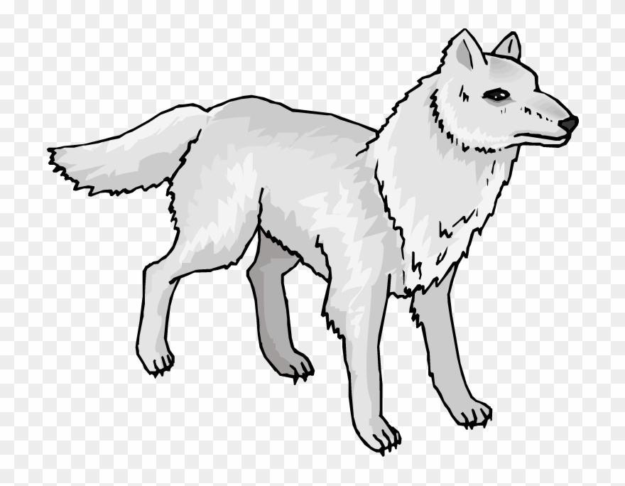 arctic wolf art animated
