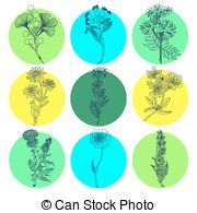 Vector Clip Art of Plant.