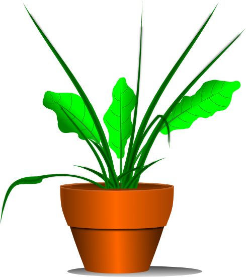 Free Plant Clipart.