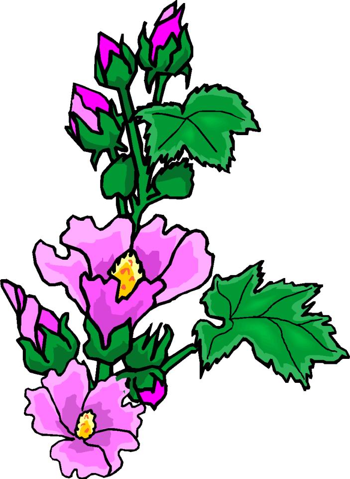 Free Floral Clipart.