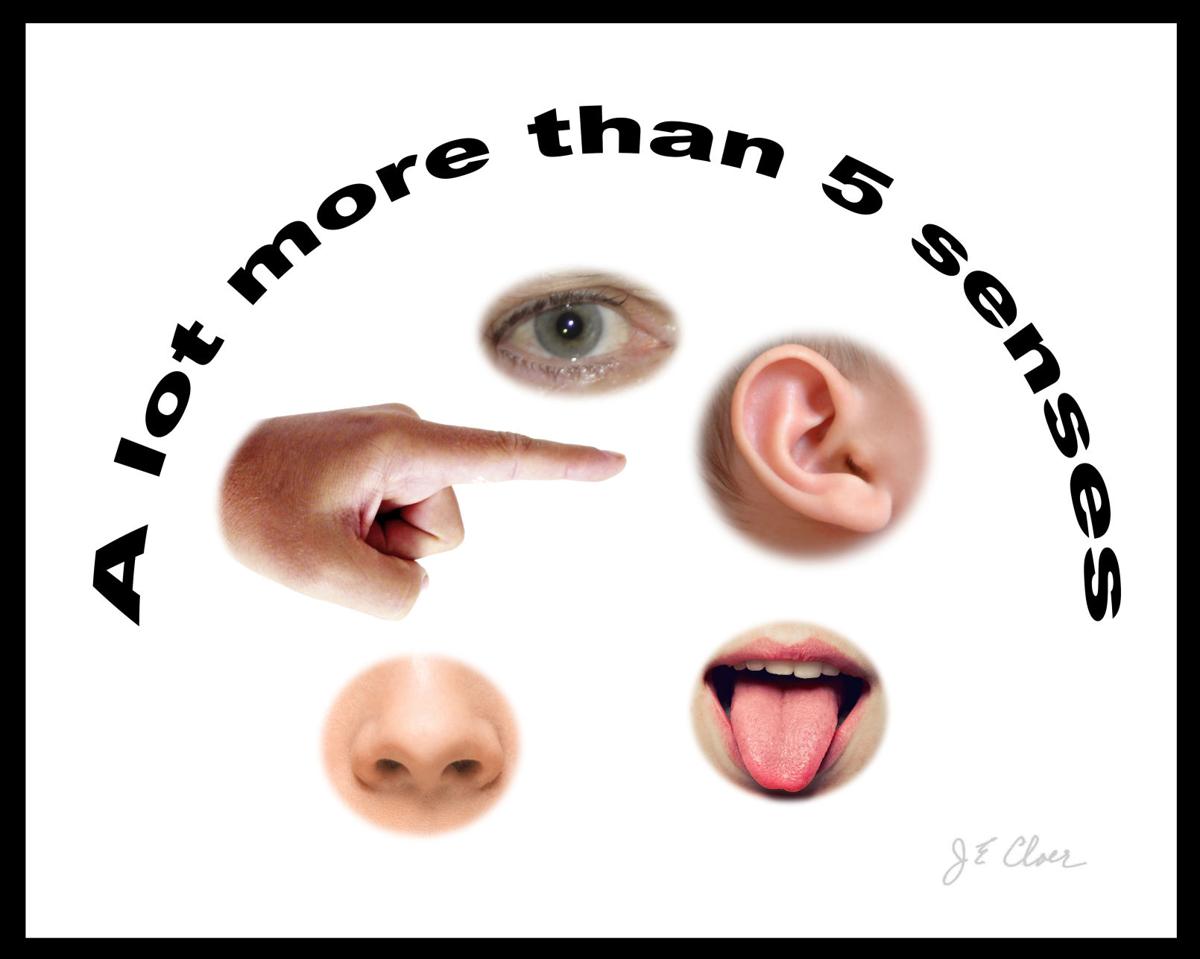 A Lot More Than Five Senses.