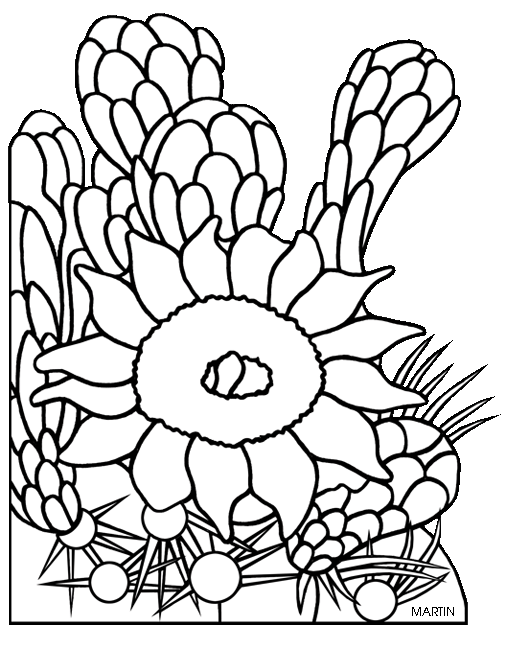 Arizona Cactus Clipart.