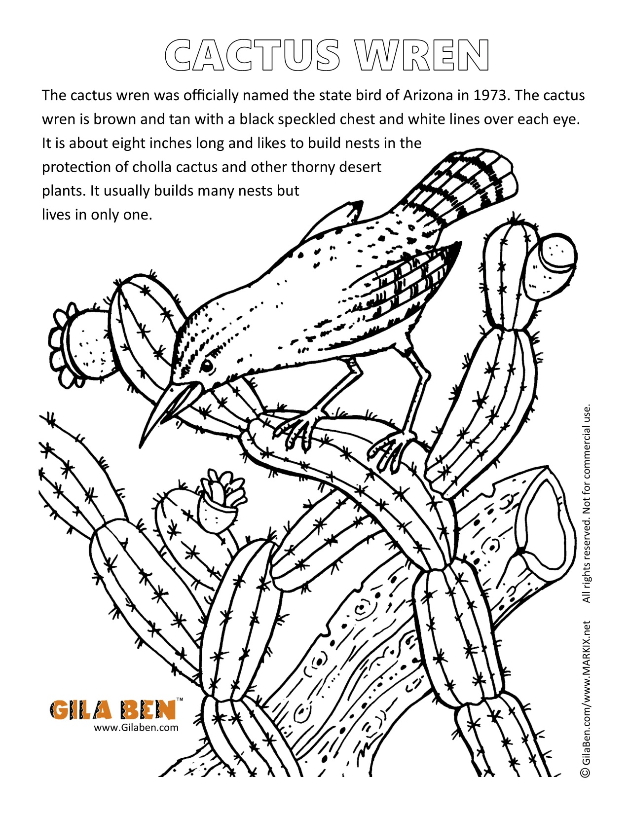 Bird Print Out Coloring Pages.