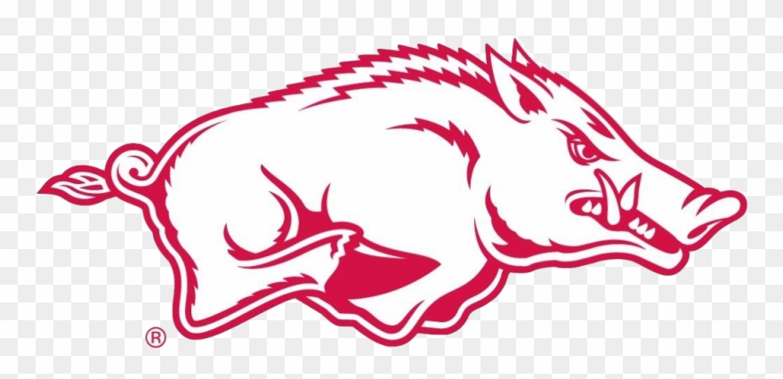 Arkansas Razorback Clipart Image Group.