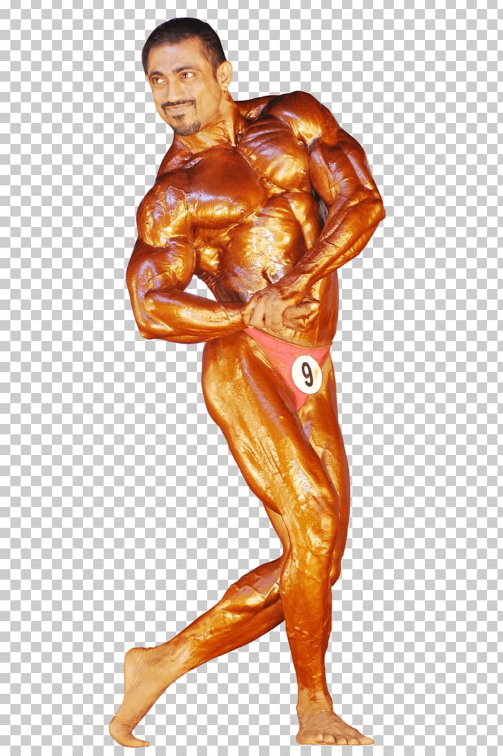 Female Bodybuilding Physical Fitness Human Body Muscle PNG.