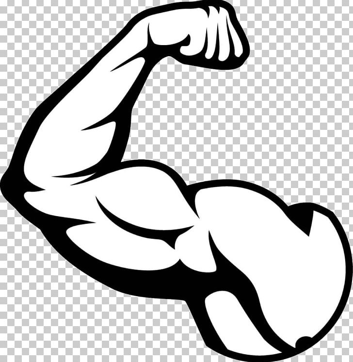 Biceps Arm Muscle PNG, Clipart, Arm, Art, Artwork, Beak.