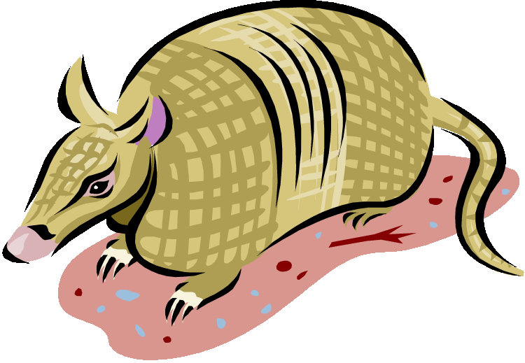 armadillo cartoon