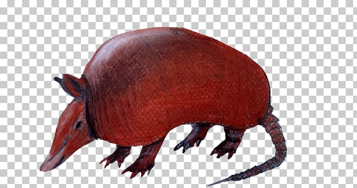Armadillo Drawing Silhouette, cola PNG clipart.