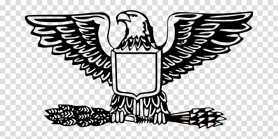 Bird Line Drawingtransparent png image & clipart free download.