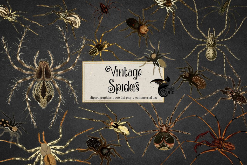 Army Of Spiders