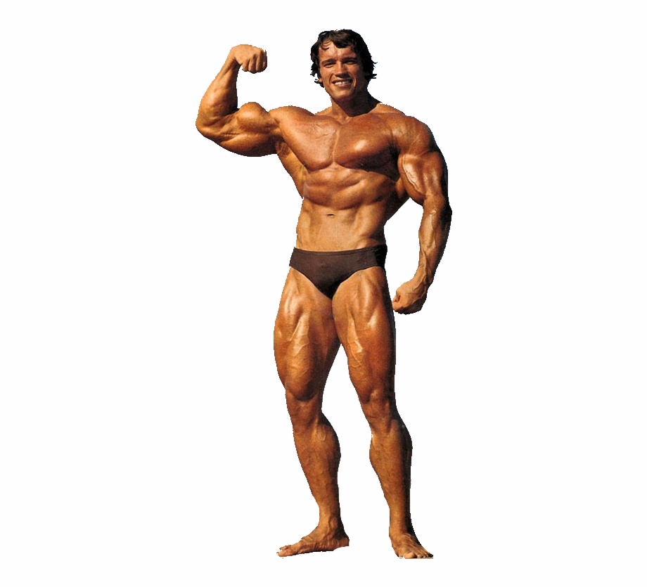 Arnold Schwarzenegger Png 79106.