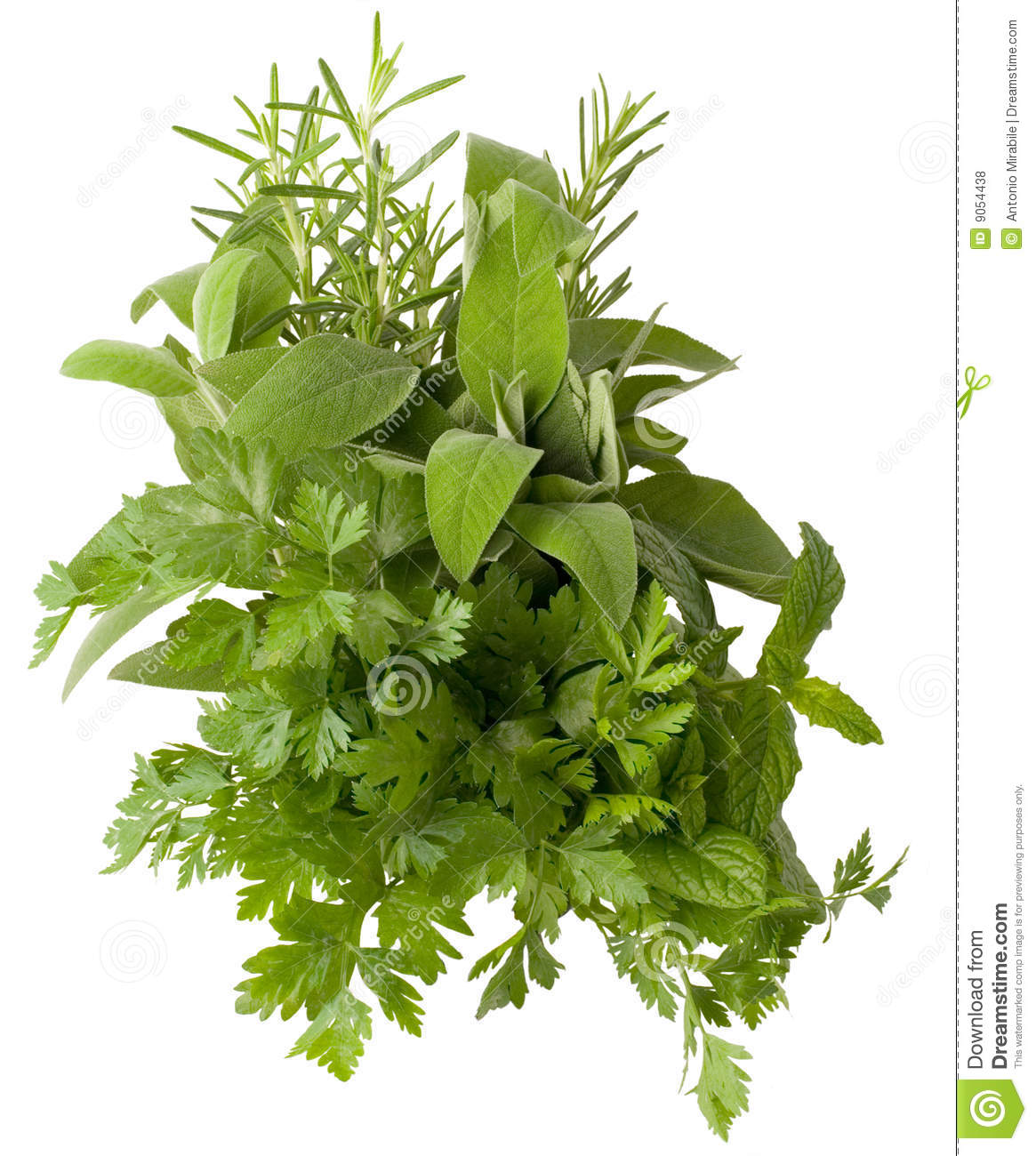 Aromatic Herbs Royalty Free Stock Photos.