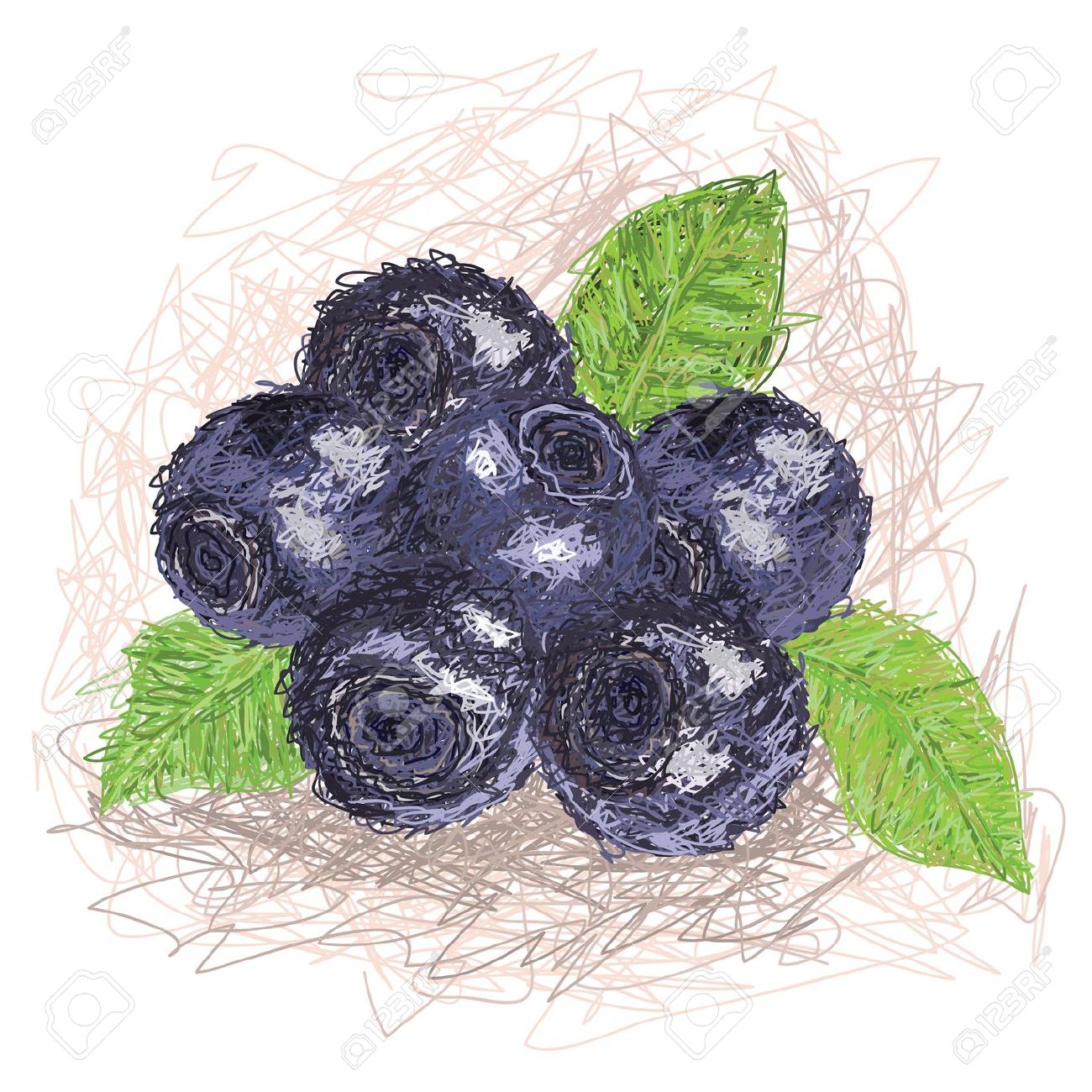 Closeup Illustration Of A Fresh Blueberry Fruit Royalty Free.