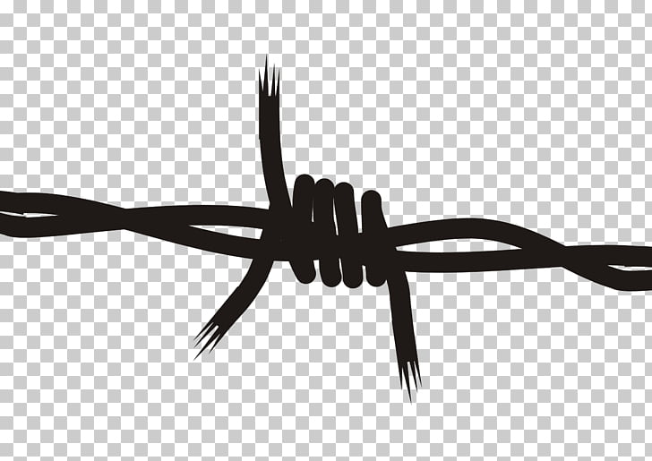 Barbed wire , Barbwire PNG clipart.