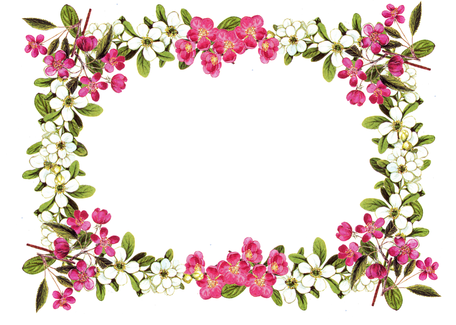 Art deco spring border clipart clipart images gallery for.