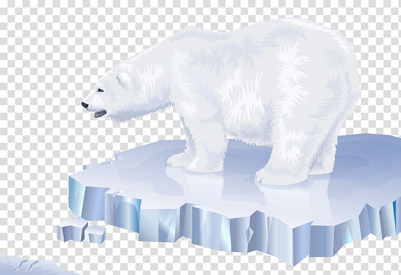 Polar bear Arctic North Pole Los osos polares, polar bear.