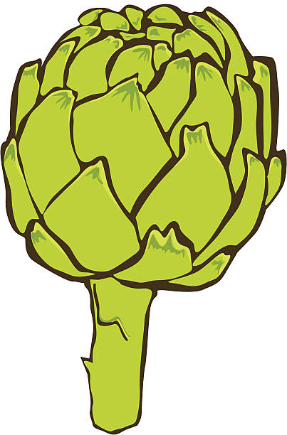 artichoke clipart free 10 free Cliparts | Download images on Clipground ...