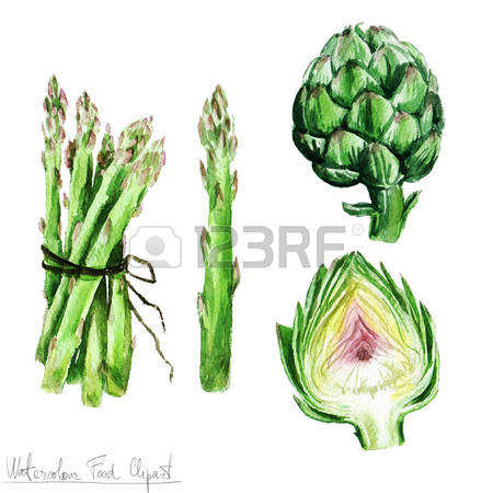 240 Artichoke Flower Stock Illustrations, Cliparts And Royalty.