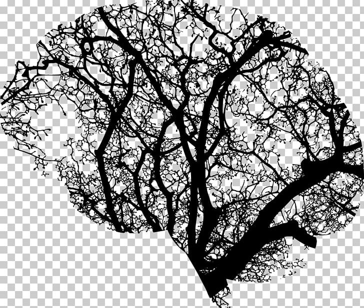 Brain Tree Human Head PNG, Clipart, Anatomy, Artificial.