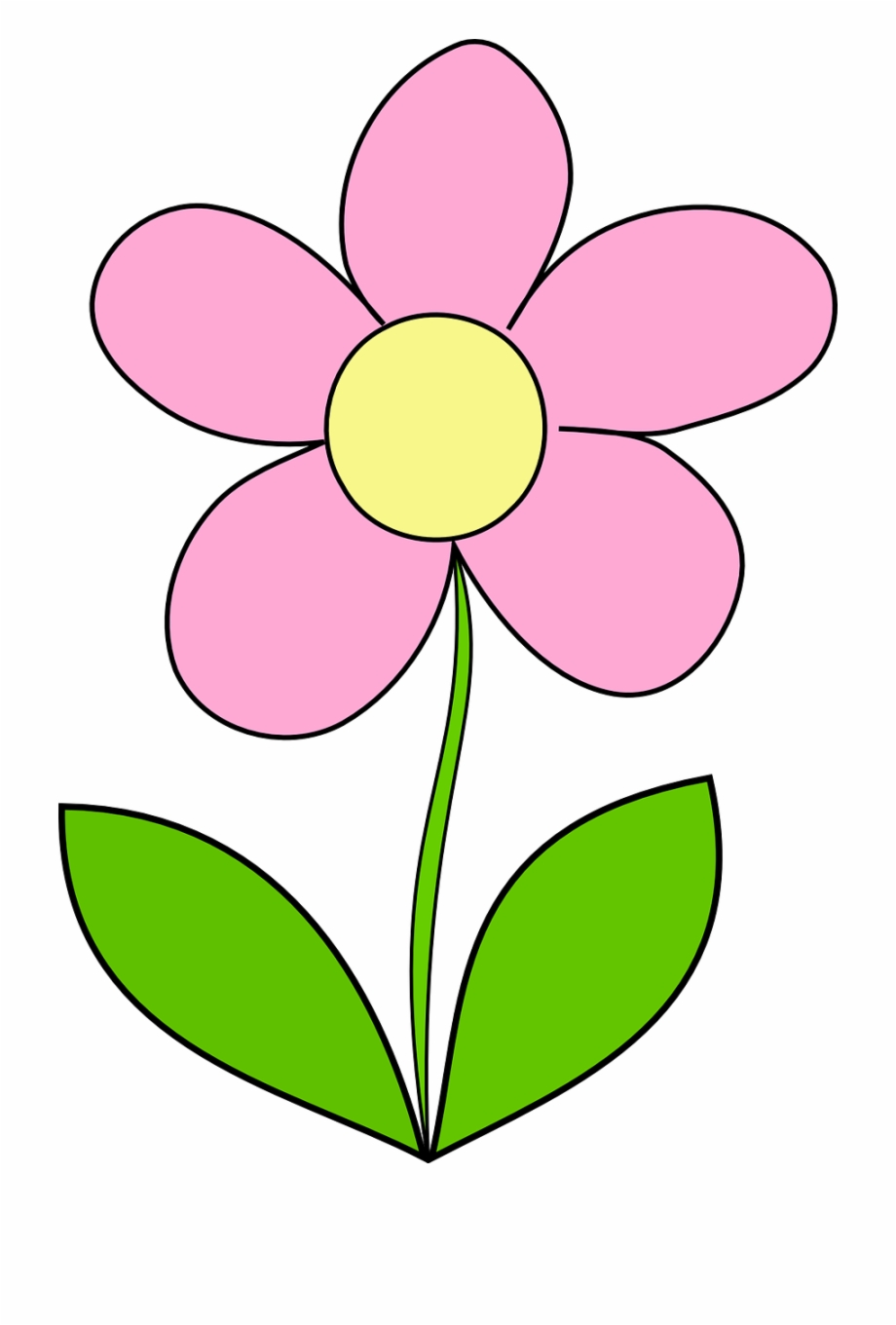 Flower Daisy Yellow Pink Spring Png Image.