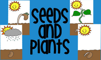 Steps To Planting Seeds Worksheets & Teaching Resources.