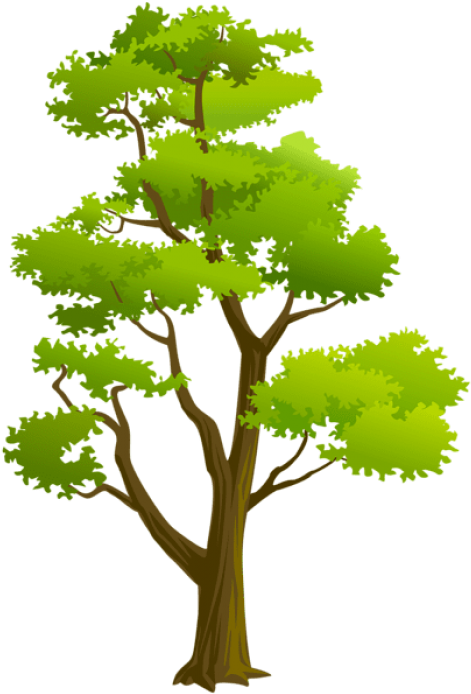 Free Png Download Tree Png Png Images Background Png.