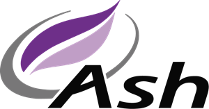 Ash Vision Logo Vector (.AI) Free Download.
