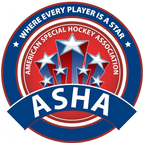 Understanding the ASHA Logo, Its Core Values and Its Mission.