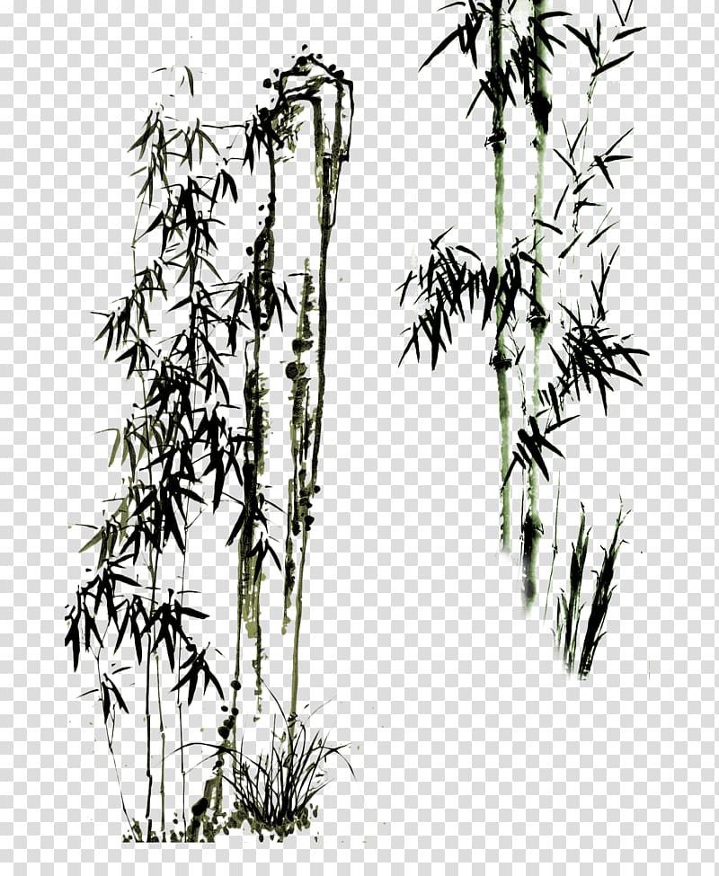 Bamboo trees illustration, Paper Drawing Bamboo Chinese.