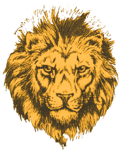 aslan png 20 free Cliparts | Download images on Clipground 2024