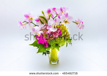 Asparagales Stock Photos, Royalty.