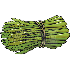 asparagus clipart. Royalty.