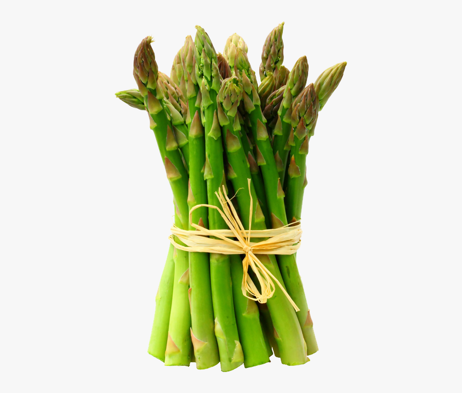 asparagus spear clipart 10 free Cliparts | Download images on