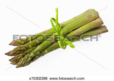Pictures of Fresh organic asparagus tips. x75302398.