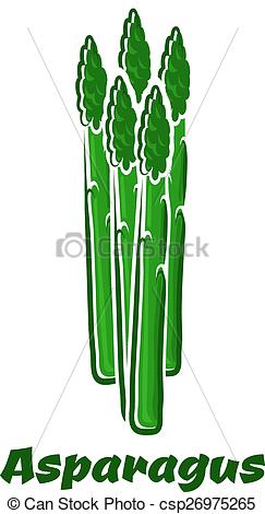 Clip Art Vector of Green asparagus vegetable spears on white.