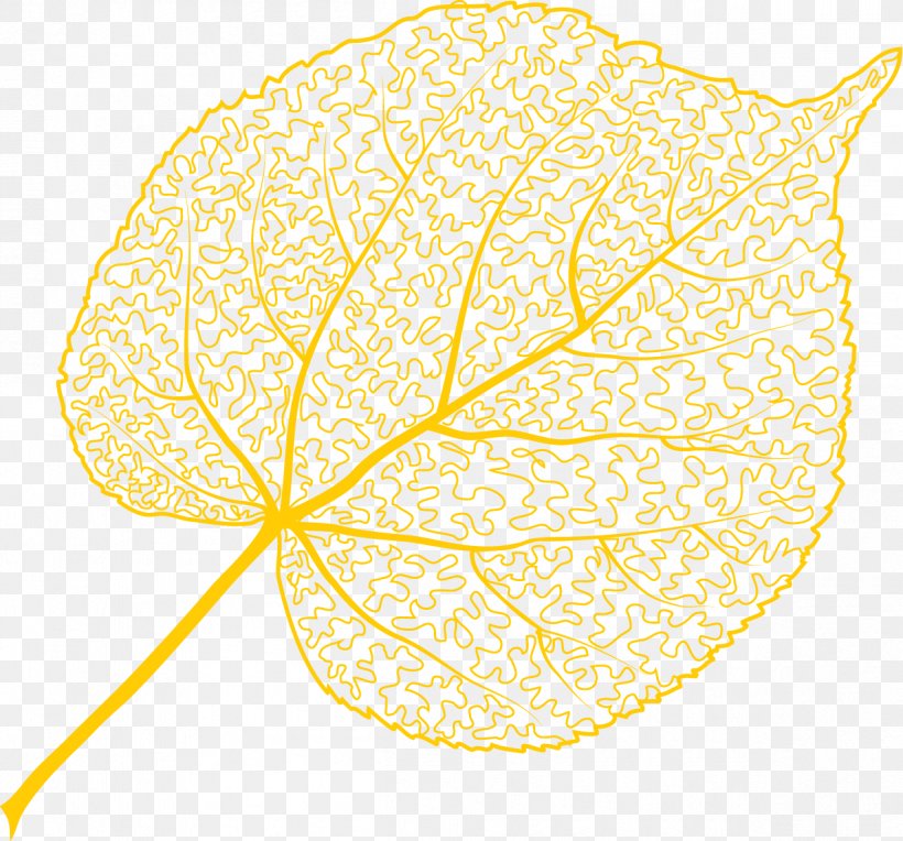 Aspen Leaf Clipart 4 