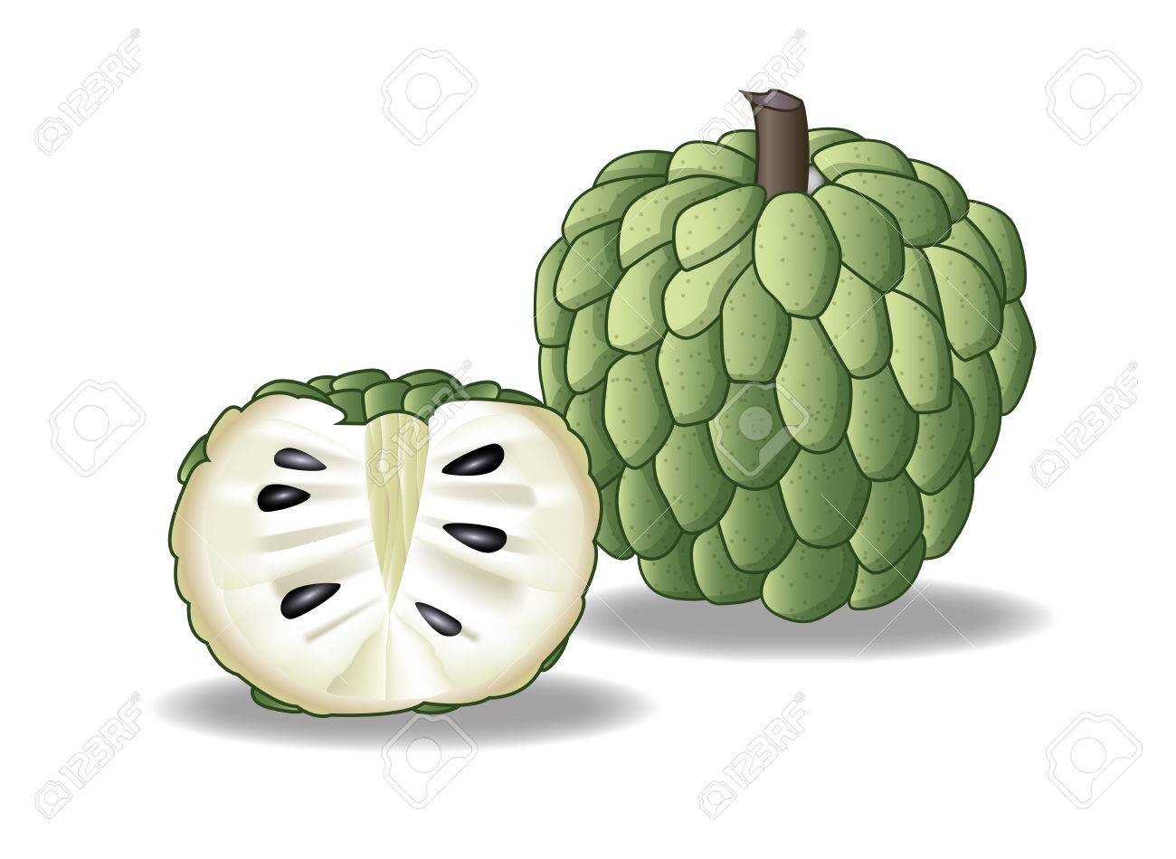 atis clipart 20 free Cliparts | Download images on Clipground 2021