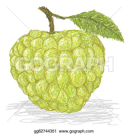 Atis clipart black and white 1 » Clipart Station.