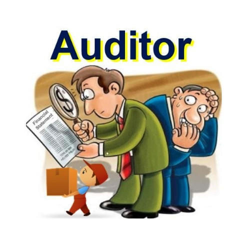 Statutory and Internal Audit Services in Kalkaji, New Delhi, Varun.