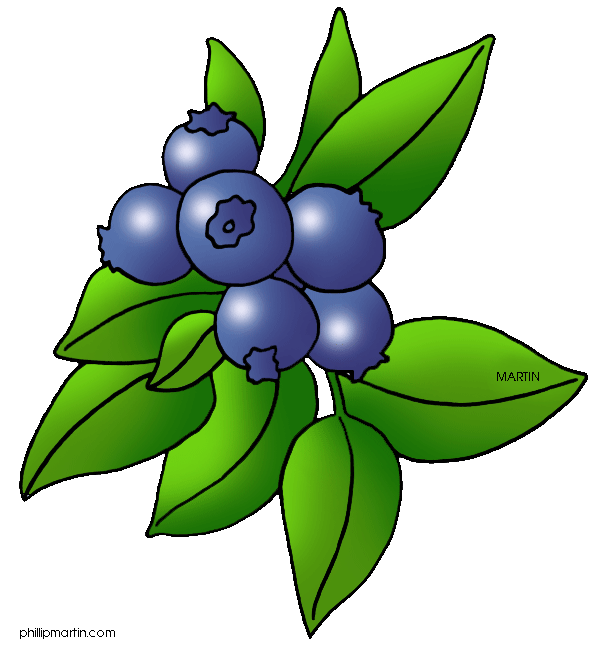 Berries on a bush clipart.