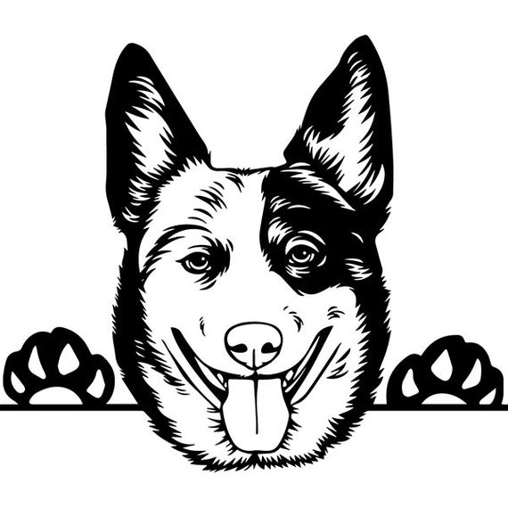 australian cattle dog clipart 20 free Cliparts | Download images on ...