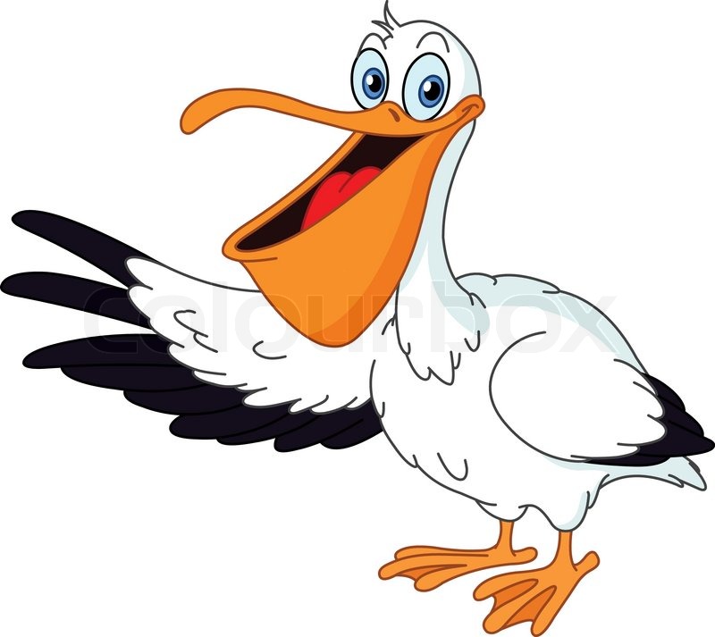 Australian pelican  clipart 20 free Cliparts Download 