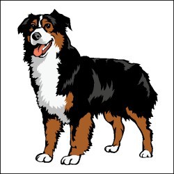 Australian shepherd clipart.