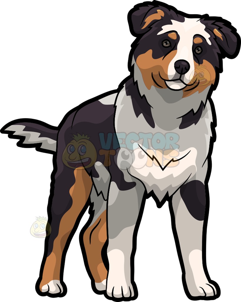 Australian shepherd clipart 20 free Cliparts | Download images on